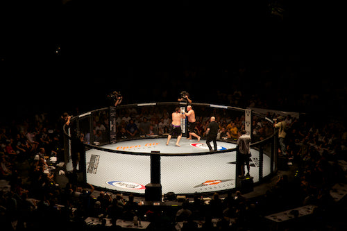 Open Air Cinema Elite screen at Showdown Fights 2010